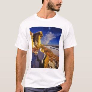 Camiseta Inverno ao longo do rio Missouri perto
