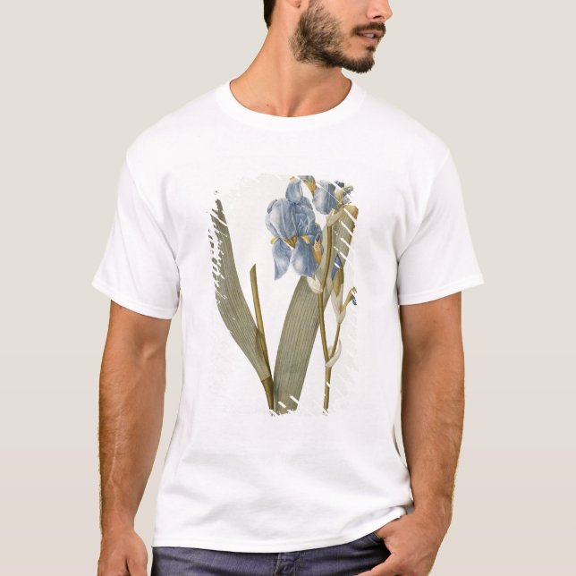 Camiseta Íris Pallida, de "Les Liliacees", 1812 (Frente)