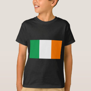 CAMISETA IRISH FLAG