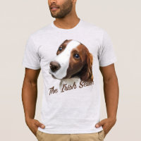 Irish Setter