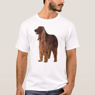 Camiseta Irish Setter