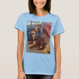 Camiseta Irish Setter Puppies T-shirt