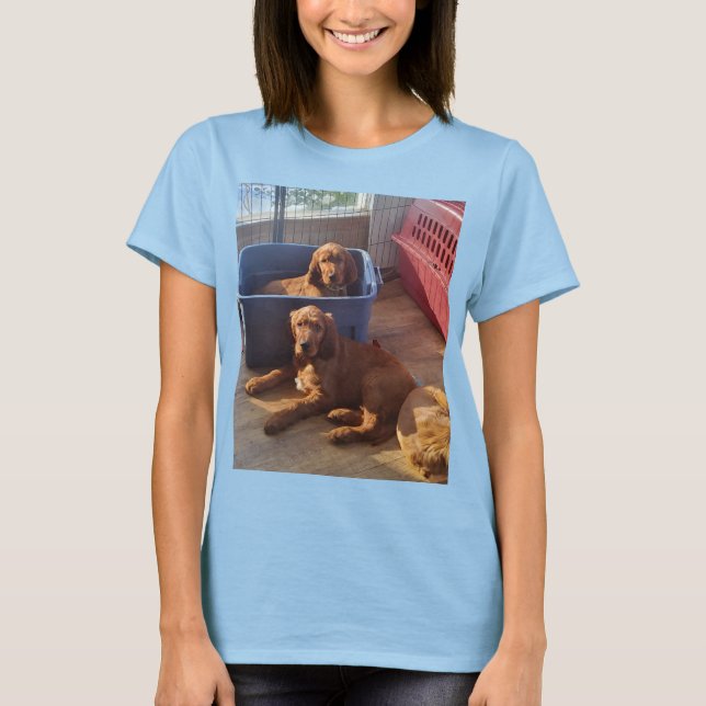 Camiseta Irish Setter Puppies T-shirt (Frente)