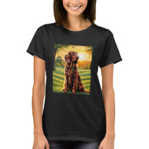 IRISH SETTER SUN BACKD
