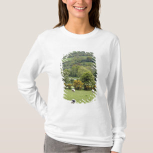 Camiseta Irlanda Ocidental, Península de Dingle, ampla