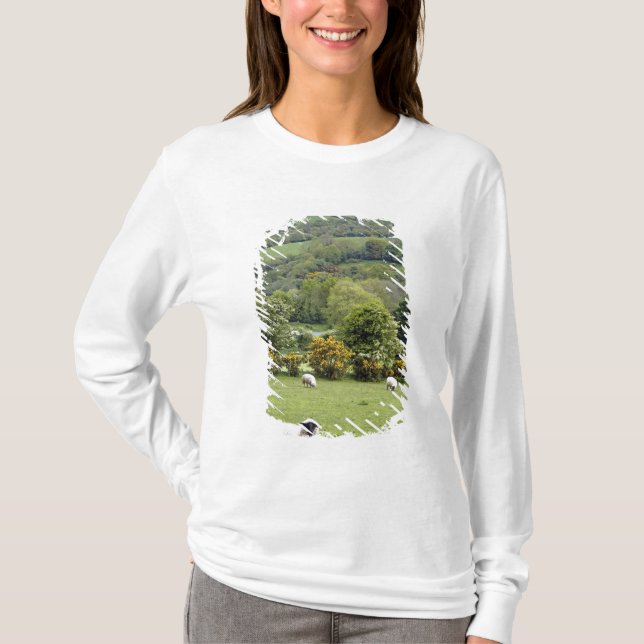 Camiseta Irlanda Ocidental, Península de Dingle, ampla (Frente)