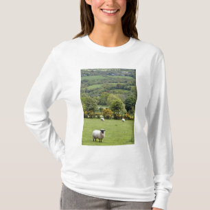 Camiseta Irlanda Ocidental, Península de Dingle, ampla