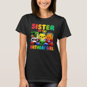 Camiseta Irmã Da Família Aniversário Da Fruta De Aniversári