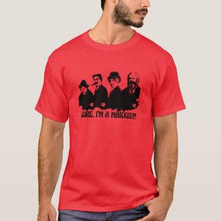 Camiseta irmã Marista