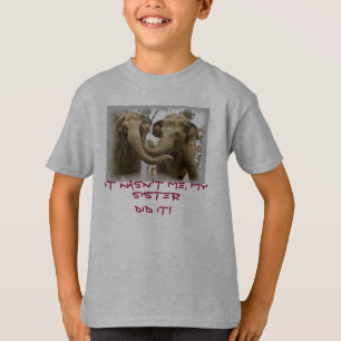 Camiseta Irmãos do elefante do miúdo