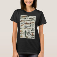 Iscas de pesca dos anos 1920