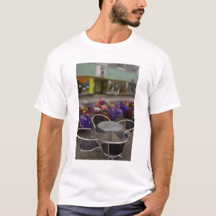 Camiseta Islândia, Akureyri. Vista da principal atividade c