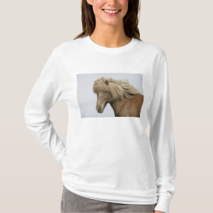 Camiseta Islândia. Retrato de um cavalo islandês.