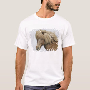 Camiseta Islândia. Retrato de um cavalo islandês.