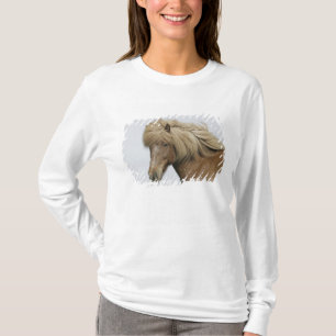 Camiseta Islândia. Retrato de um cavalo islandês.