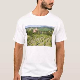 Camiseta Italia, Bolonha, vista através do vinhedo a Chies