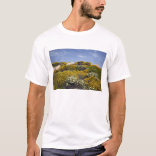 Camiseta Itália, Sardenha, Santa Teresa Gallura. Capo 3