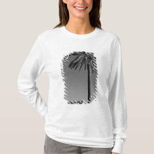 Camiseta Itália, Sicília, Agrigento, La Valle dei Templi, 3