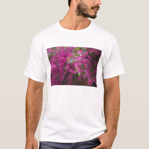 Camiseta Itália, Sicília, Cefalu, Pátio Florido por