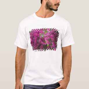 Camiseta Itália, Sicília, Cefalu, Pátio Florido por