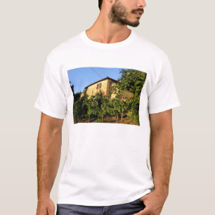 Camiseta Itália, Toscana, Greve. Cenas de vinho no final do