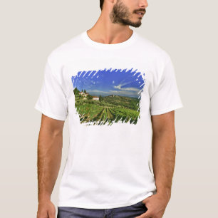 Camiseta Itália, Toscana, Greve. Os vinhedos de Castello