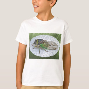 Camiseta Itens de Coordenação de Cigarras Anuais