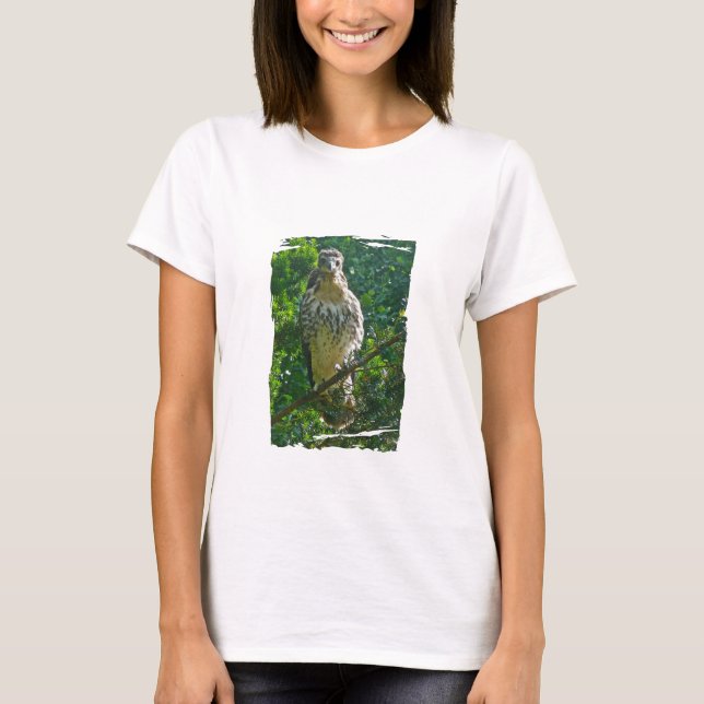 Camiseta Itens de Coordenação de Falcão Vermelhos Imaturos (Frente)