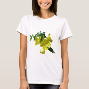 Camiseta Itens de Coordenação de Primários de Depressão