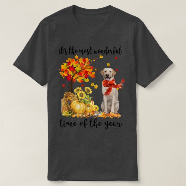 Camiseta It's The Most Wonderful Autumn Time Labrador Pumpk (Frente do Design)