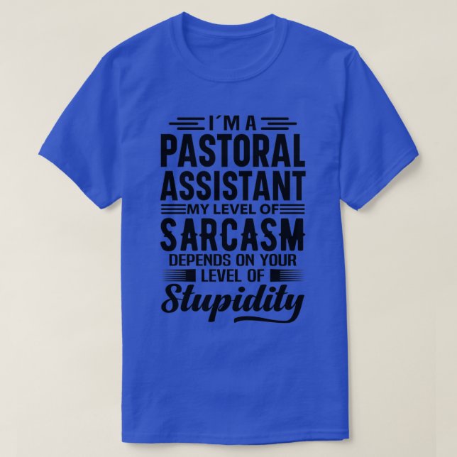 Camiseta Ix27m A Pastoral Assistant 2 (Frente do Design)