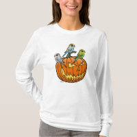 Jack O'Budgies