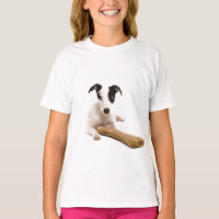 jack russel