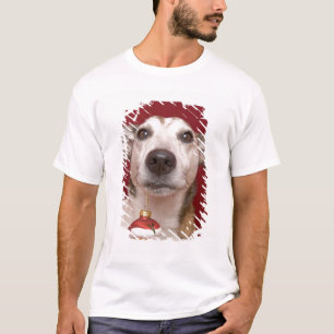 Camiseta Jack Russell Terrier que guardara enfeites de