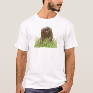 Camiseta Jambo O Chimp Única Sem Cabelo