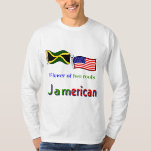 Camiseta jamerican