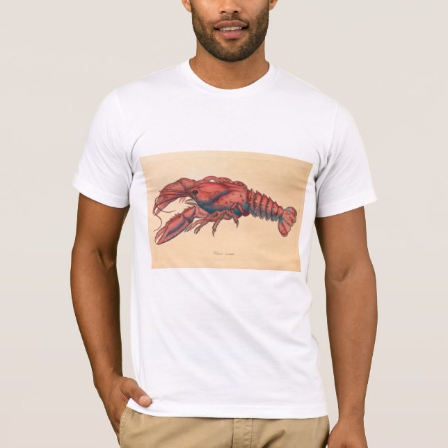 Camiseta James Sowerby Sernotated Lobster (Frente)