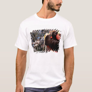 Camiseta Japão, Kyoto. Vista traseira aproximada da cabeça 