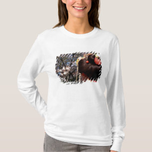 Camiseta Japão, Kyoto. Vista traseira aproximada da geisha