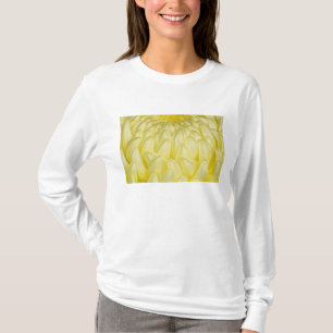 Camiseta Japão, Mie, Santuário de Ise, Crisântemo
