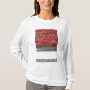 Camiseta Japão, Quioto, Cor de Outono no Templo Eikando