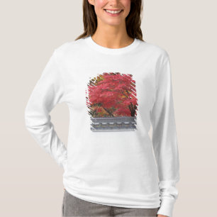 Camiseta Japão, Quioto, Cor de Outono no Templo Eikando