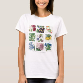 Camiseta Jardim botânico Redoute