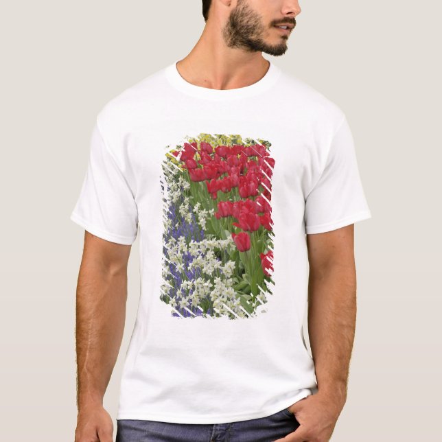 Camiseta Jardim de Tulip e daffodil, Jardins de Keukenhof, (Frente)