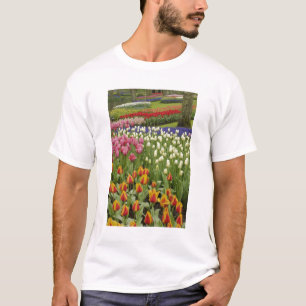 Camiseta Jardim de tulipas e jacintos, Jardins Keukenhof,