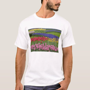 Camiseta Jardim de tulipas, jacintos e