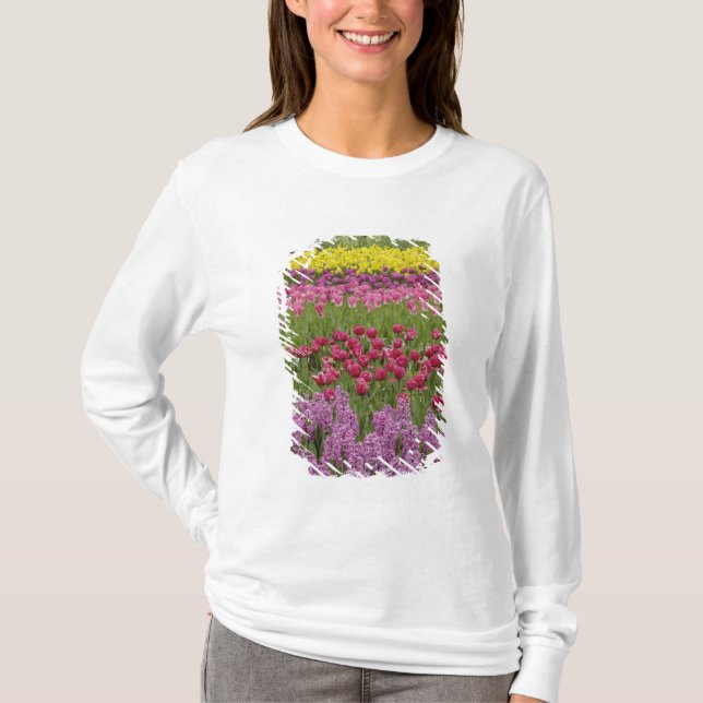 Camiseta Jardim de tulipas, narcisos e jacinto (Frente)