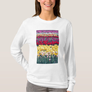 Camiseta jardim de tulipas no vale de Skagit,