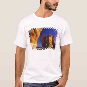 Camiseta Jardim do Diabo no Grand Staircase Escalante