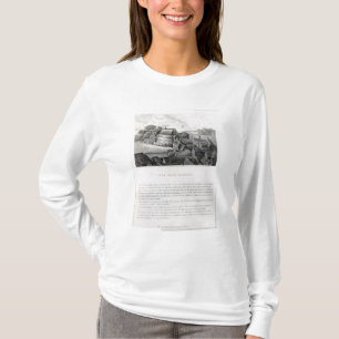 Camiseta Jardim do urso, 1647